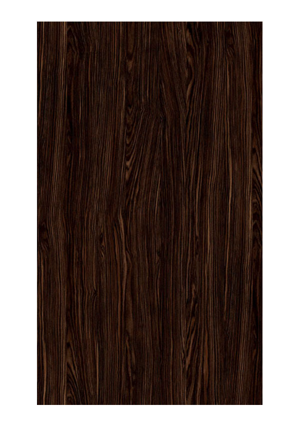 Doors Collection 4