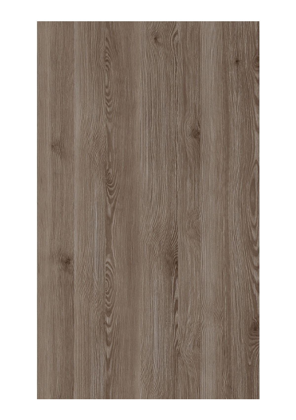 Doors Collection 4