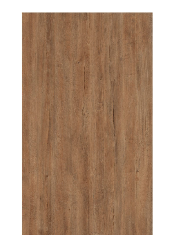 Doors Collection 4