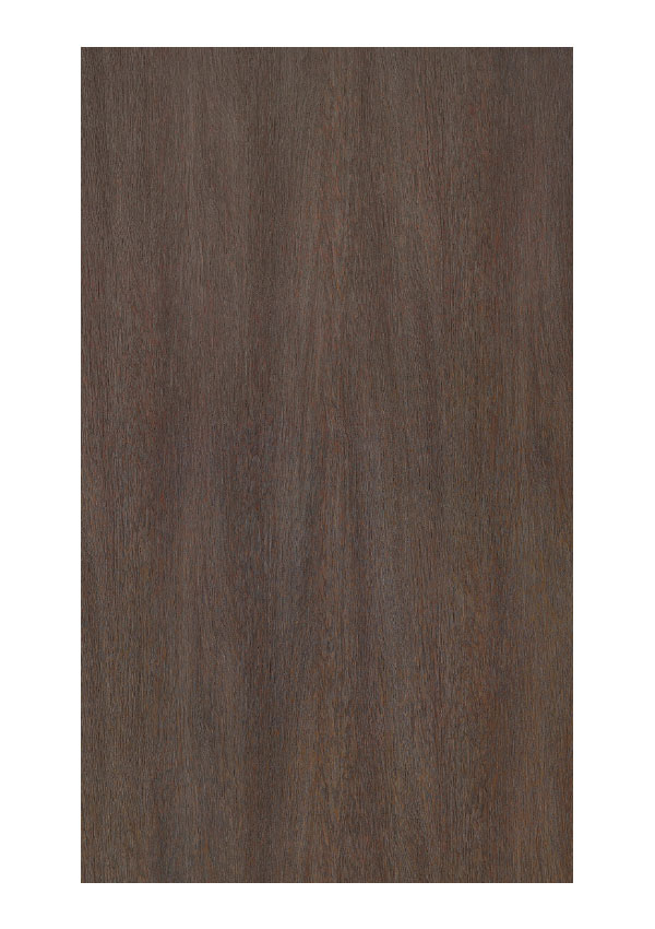Doors Collection 4