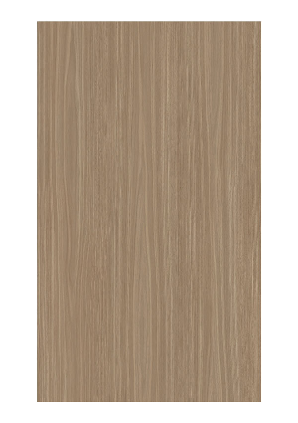 Doors Collection 4