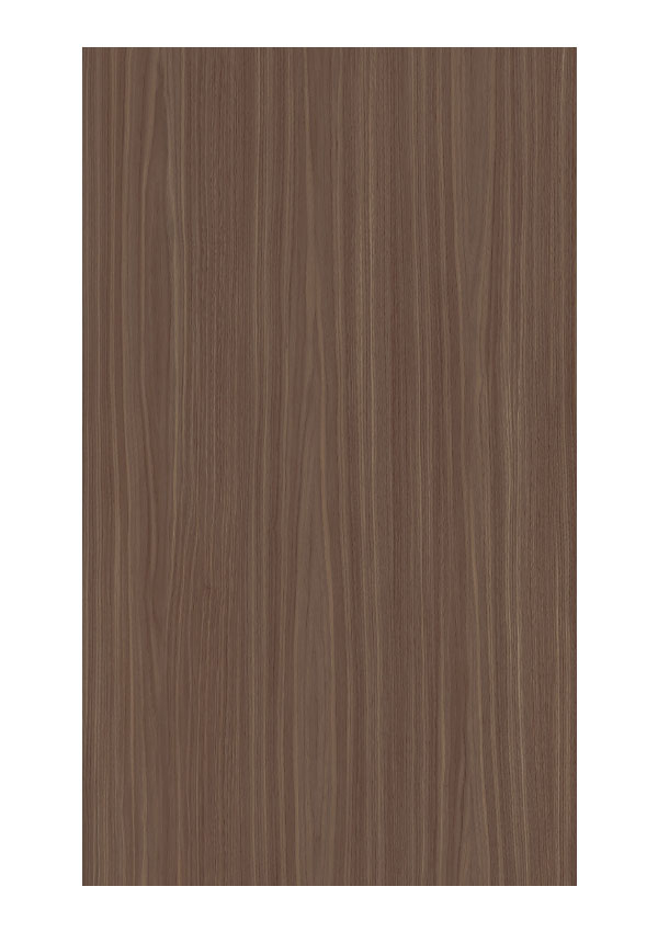 Doors Collection 4