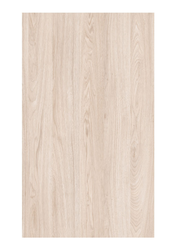 Doors Collection 4