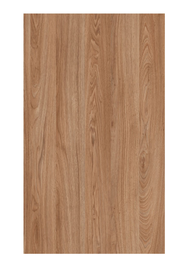 Doors Collection 4