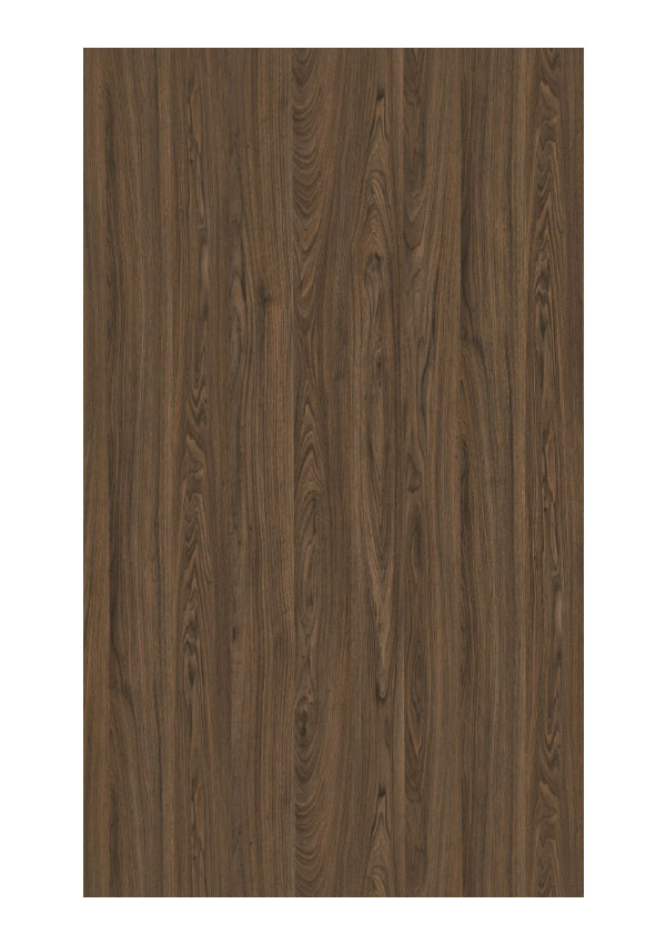 Doors Collection 4